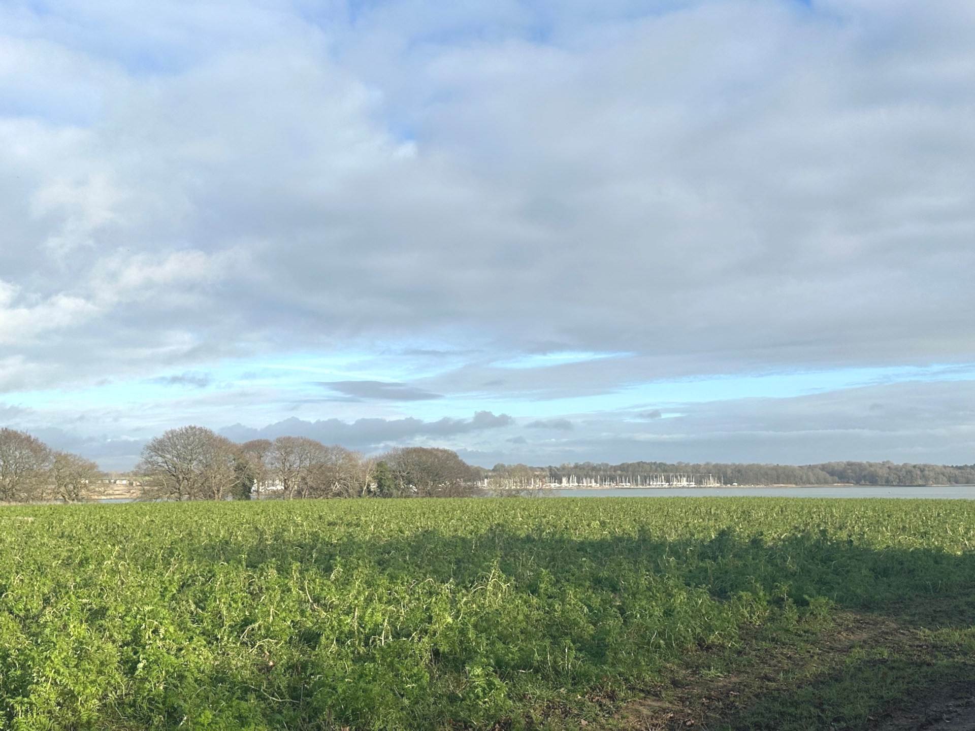 Wades Lane, Shotley, Image 13