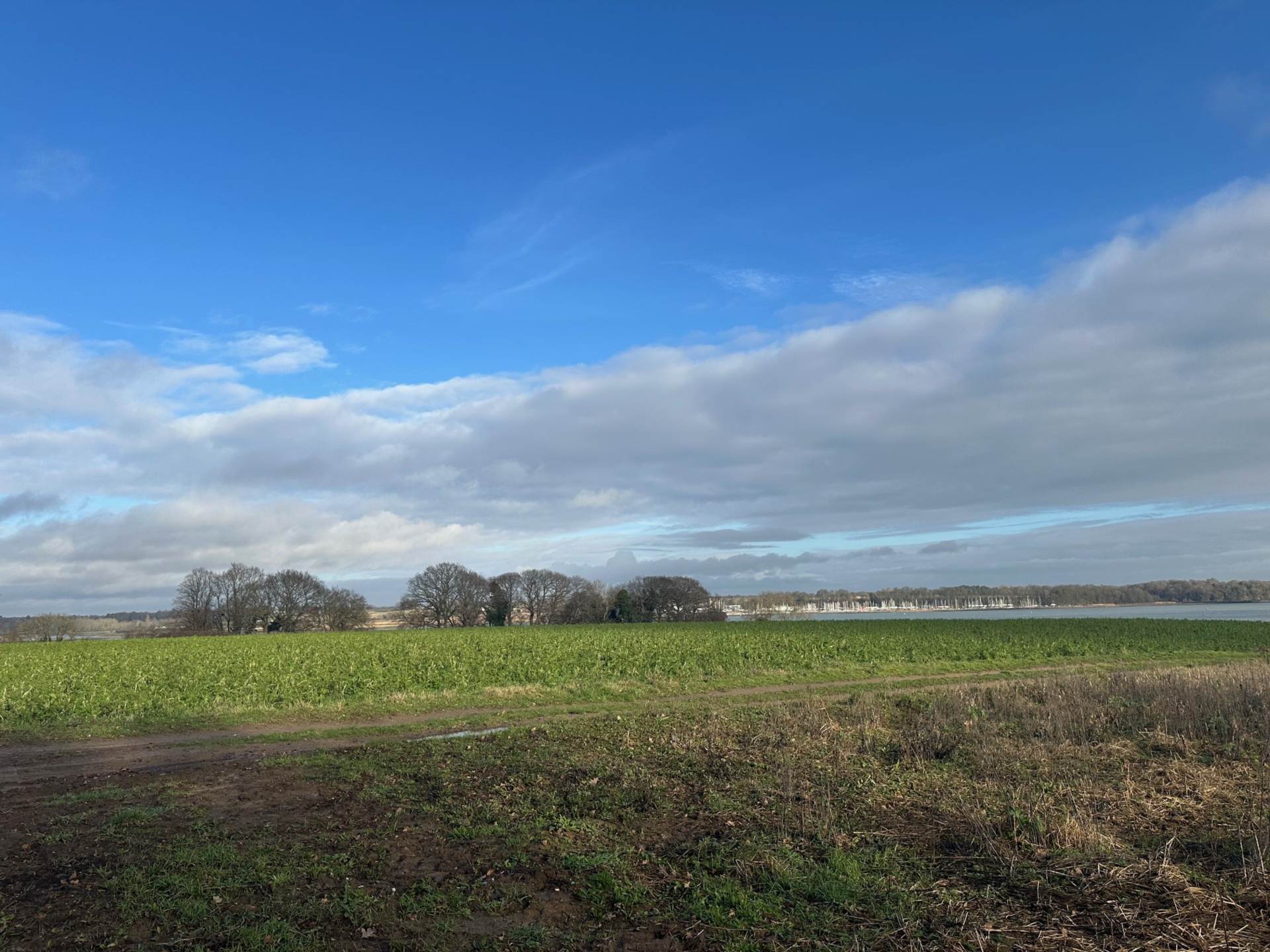 Wades Lane, Shotley, Image 15