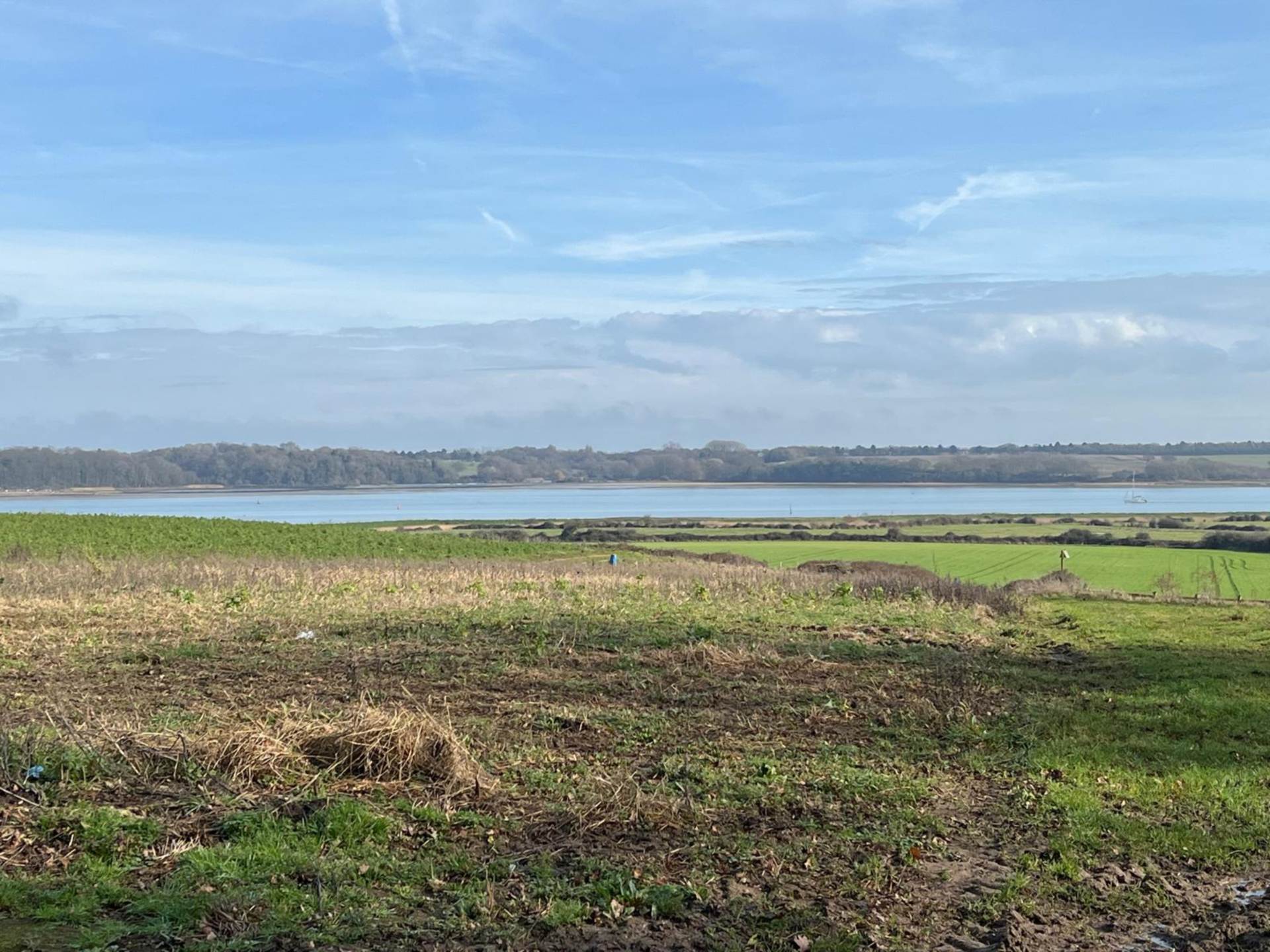 Wades Lane, Shotley, Image 16