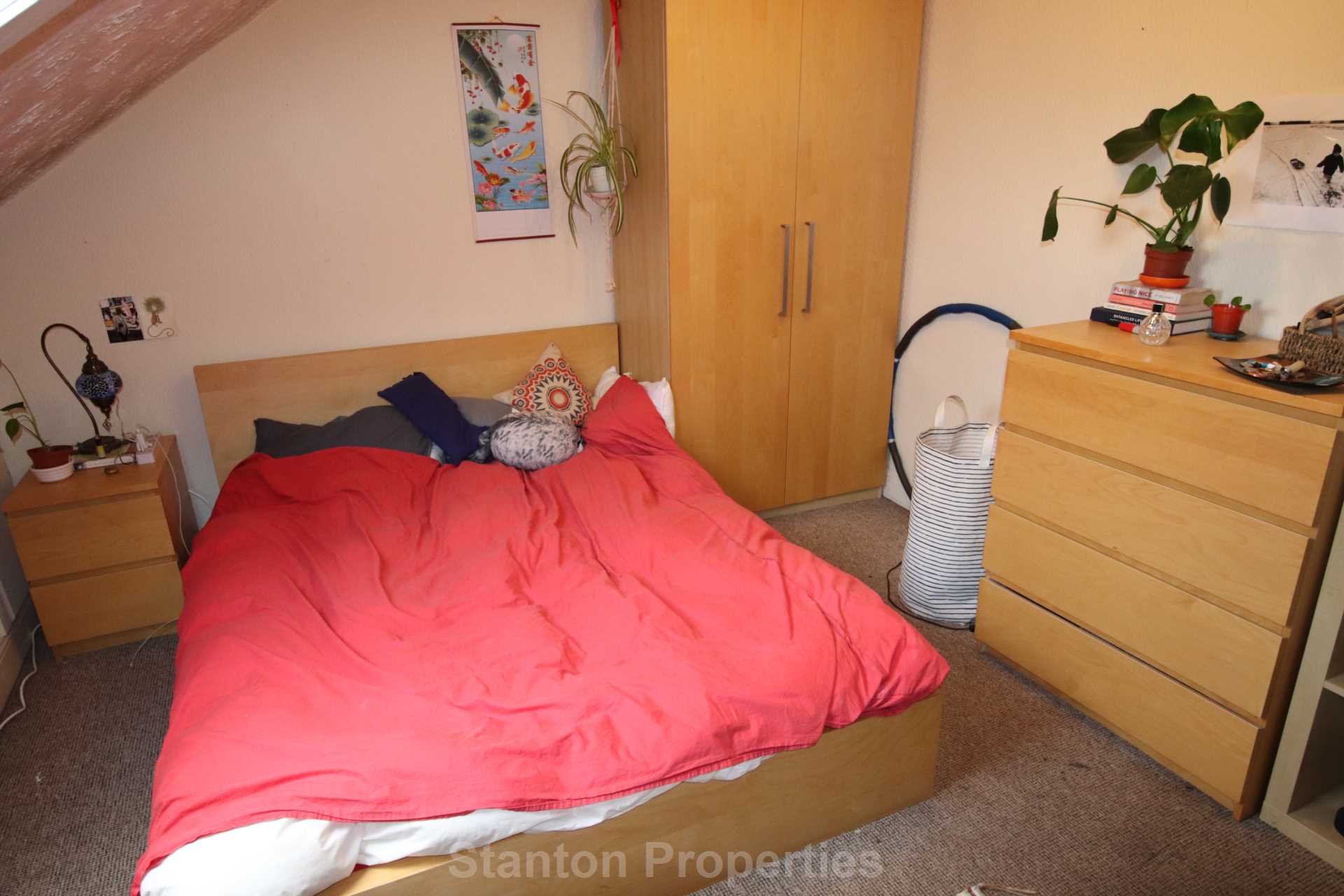 £125 pppw, Wilmslow Road, Withington, Image 8