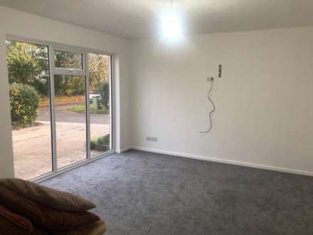 Broomfield, Stacey Bushes, Image 3