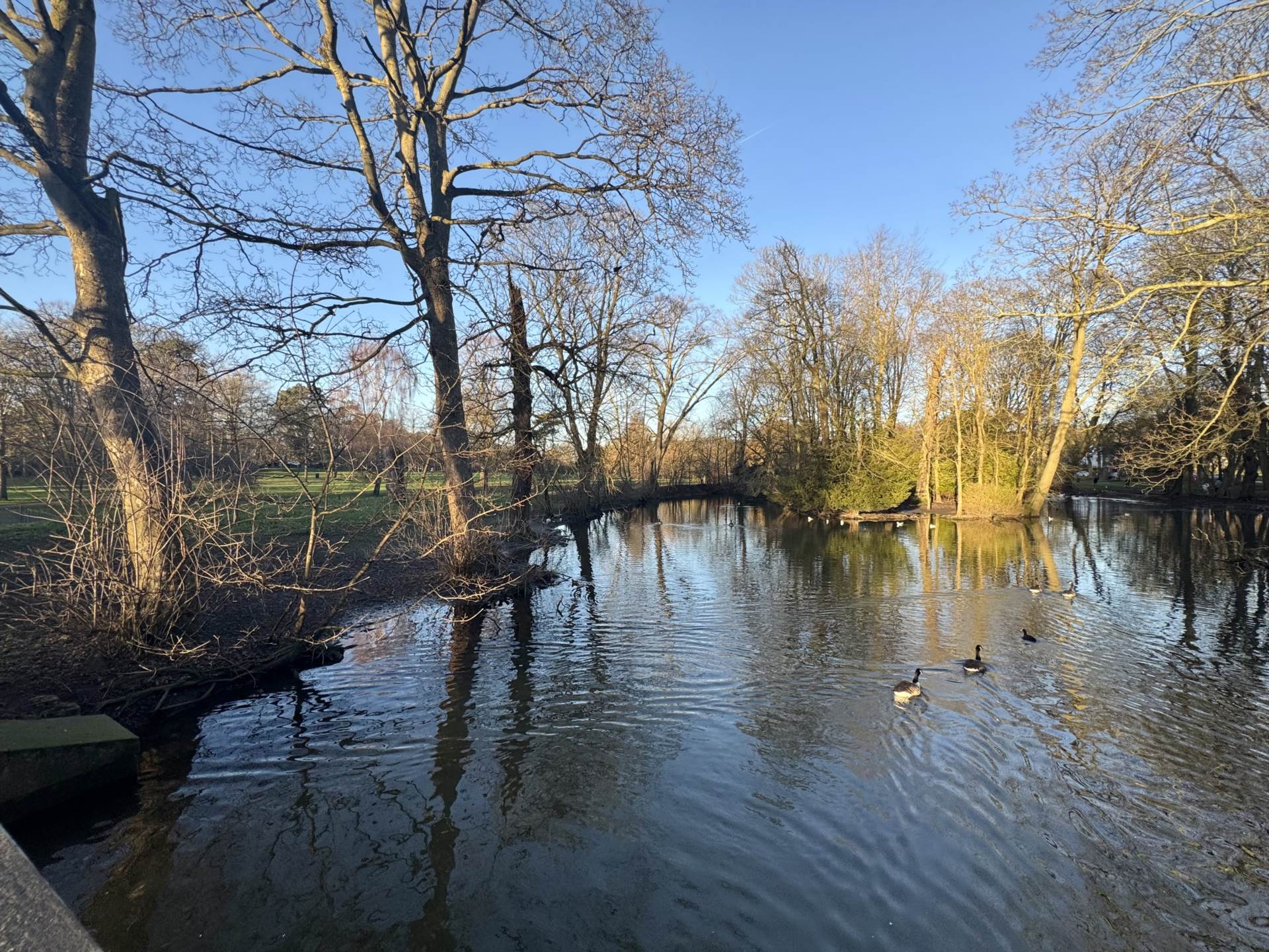 Barons Court, Earls Meade, Luton, Image 13