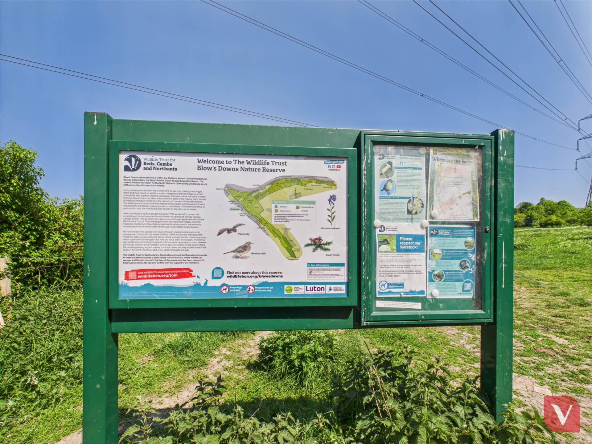 Blows Road,Dunstable, Dunstable, Image 36