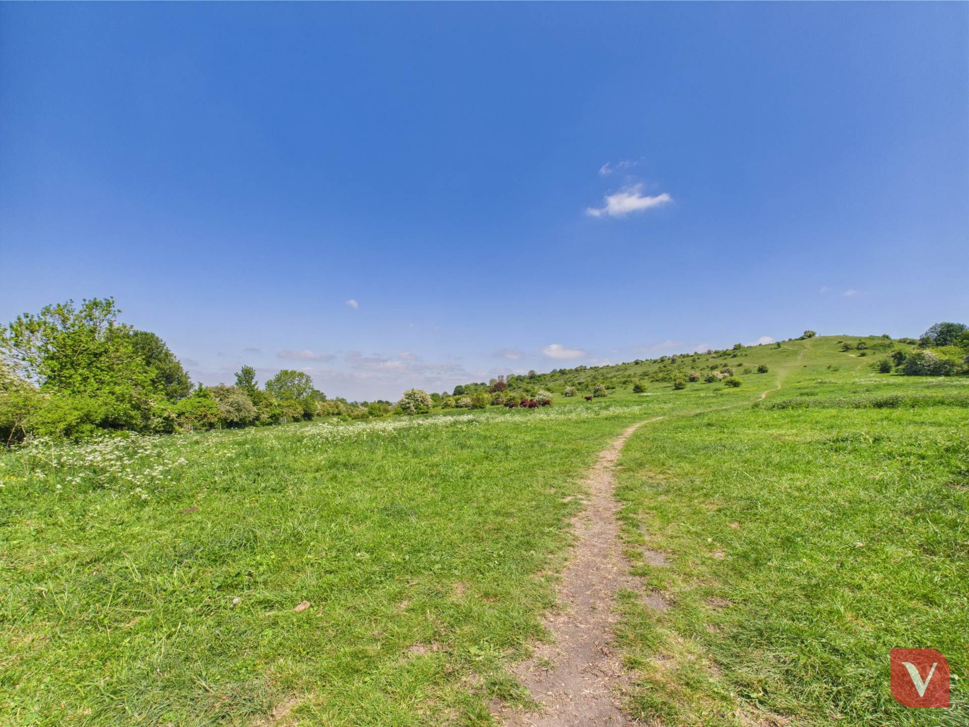 Blows Road,Dunstable, Dunstable, Image 37