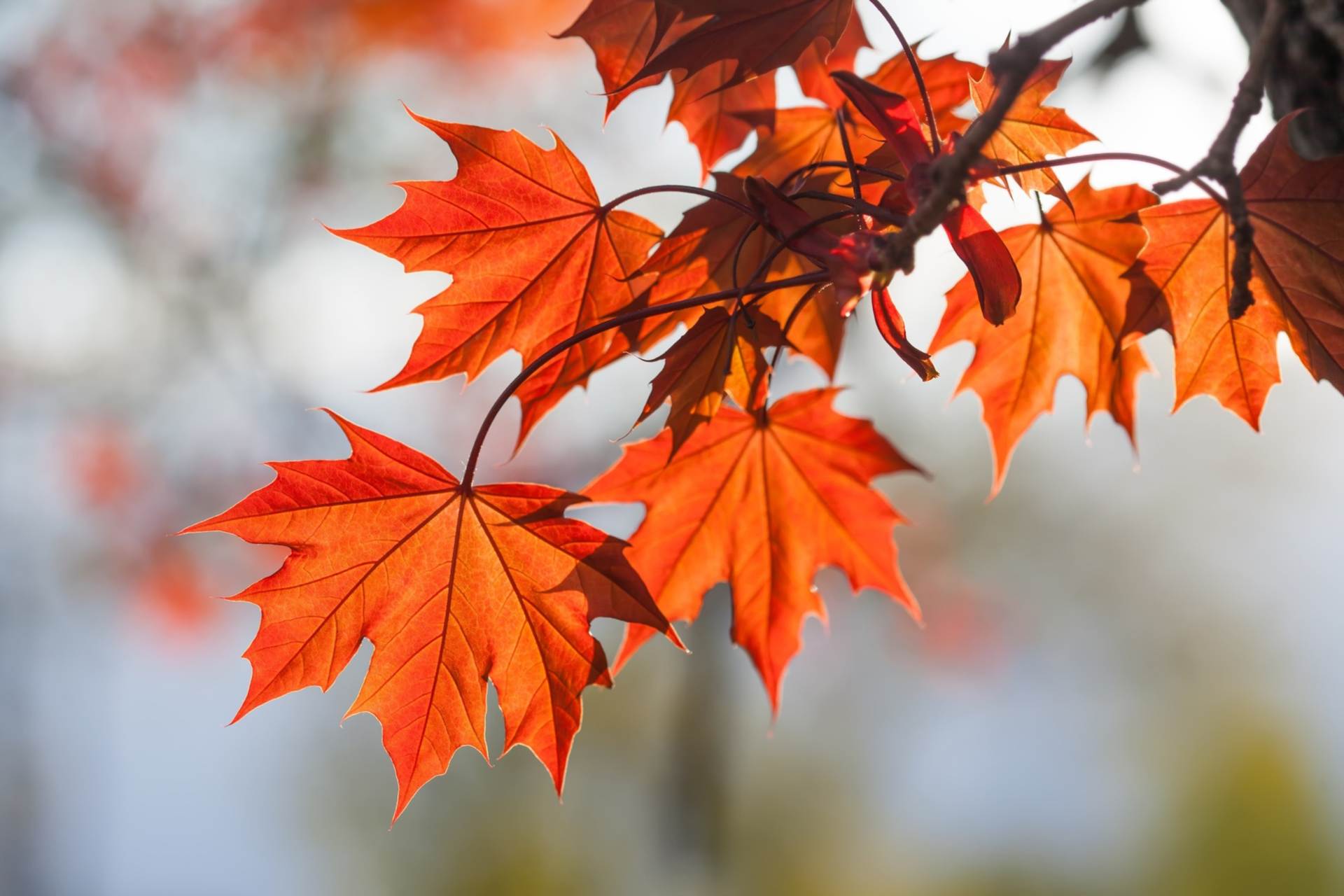 Summer is over - Now it`s Time to Sell!