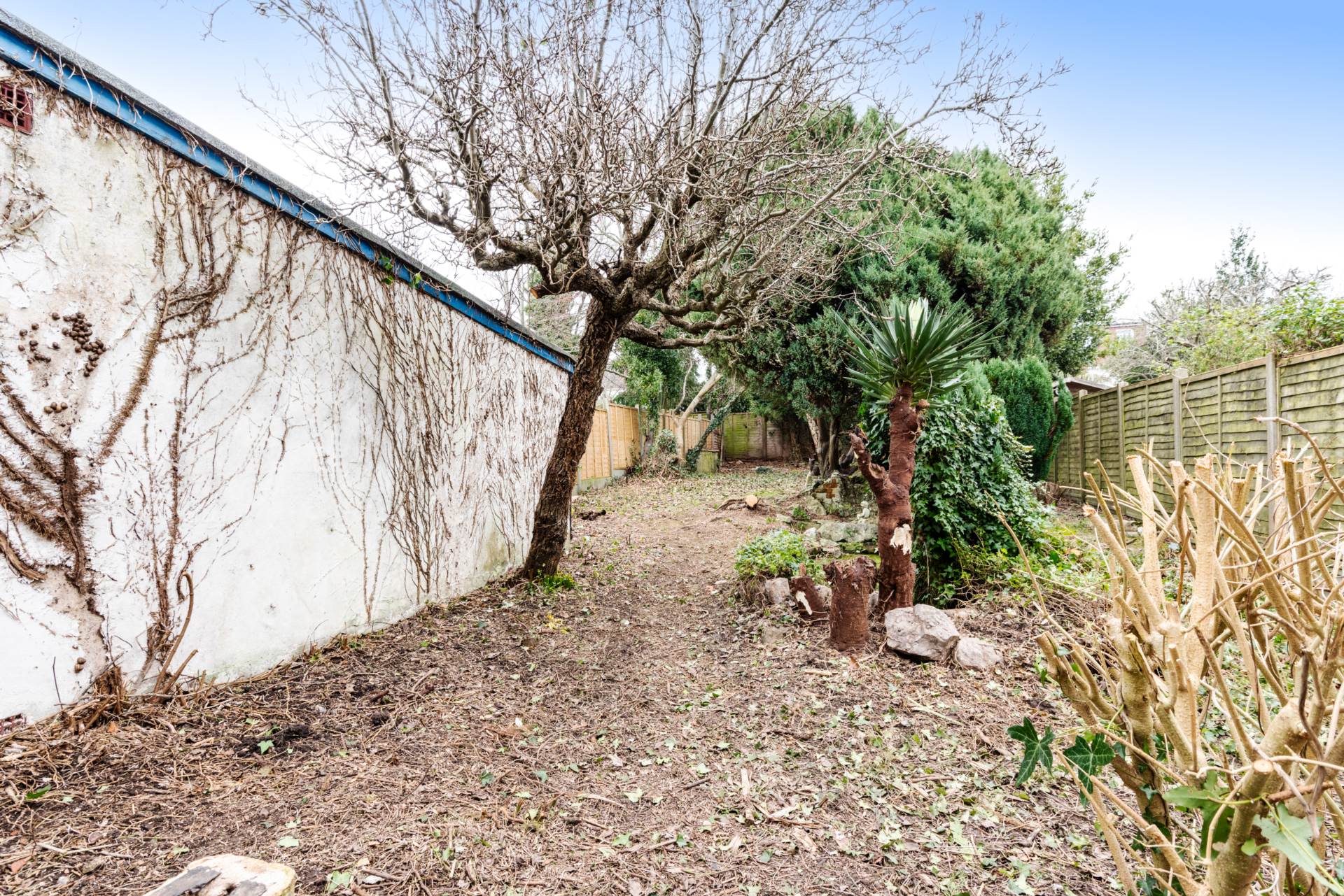 Beeches Avenue, Worthing, Image 13