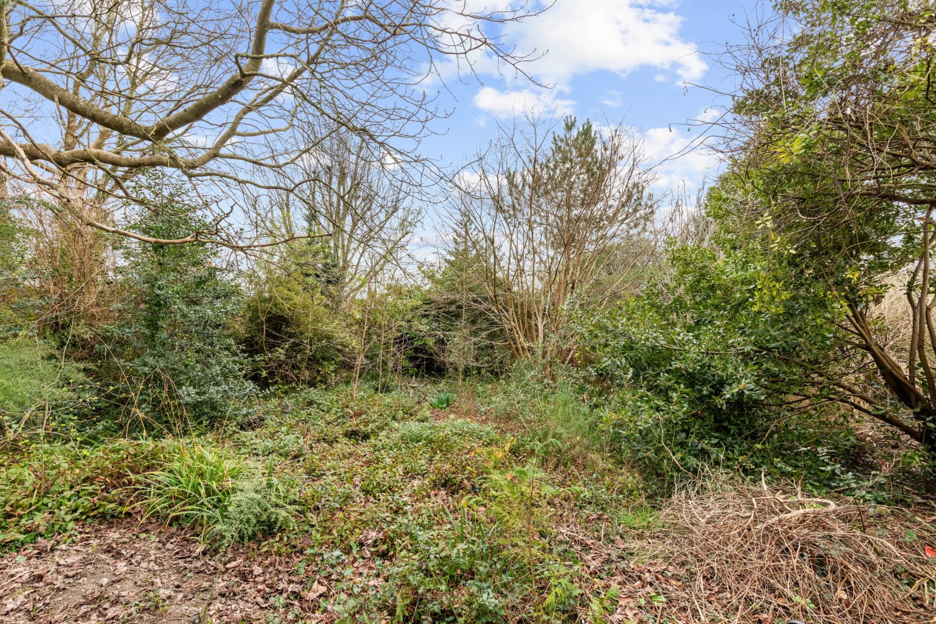 Coombe Rise, Worthing, Image 12