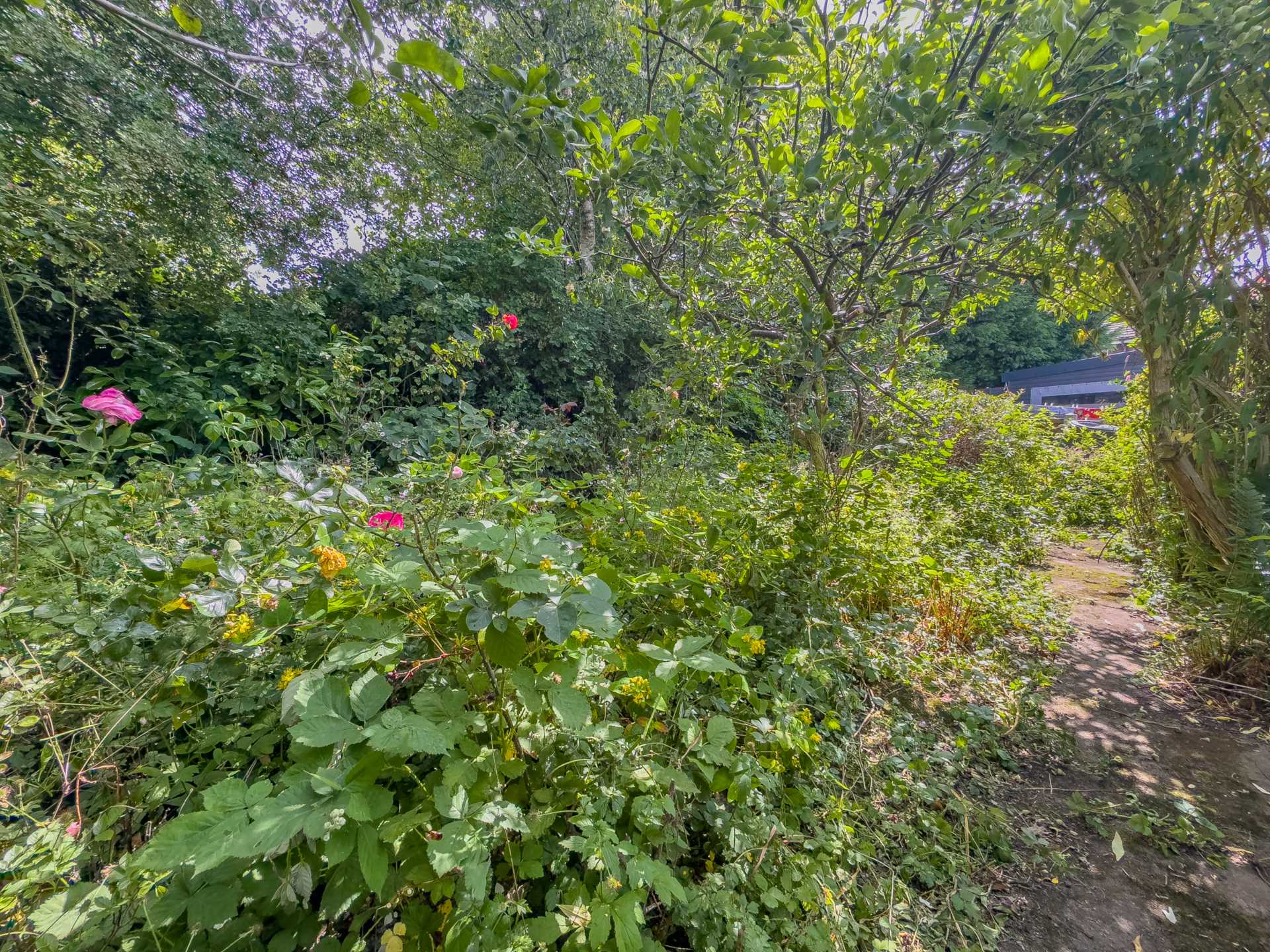 Wren Hill, Batley, Image 21