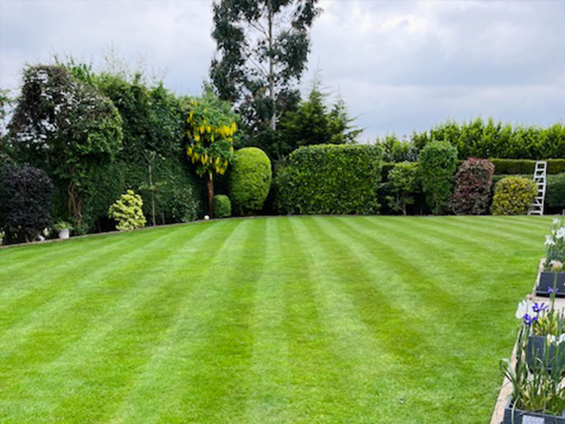 Hawkstone, 81 Latham Lane, Image 35