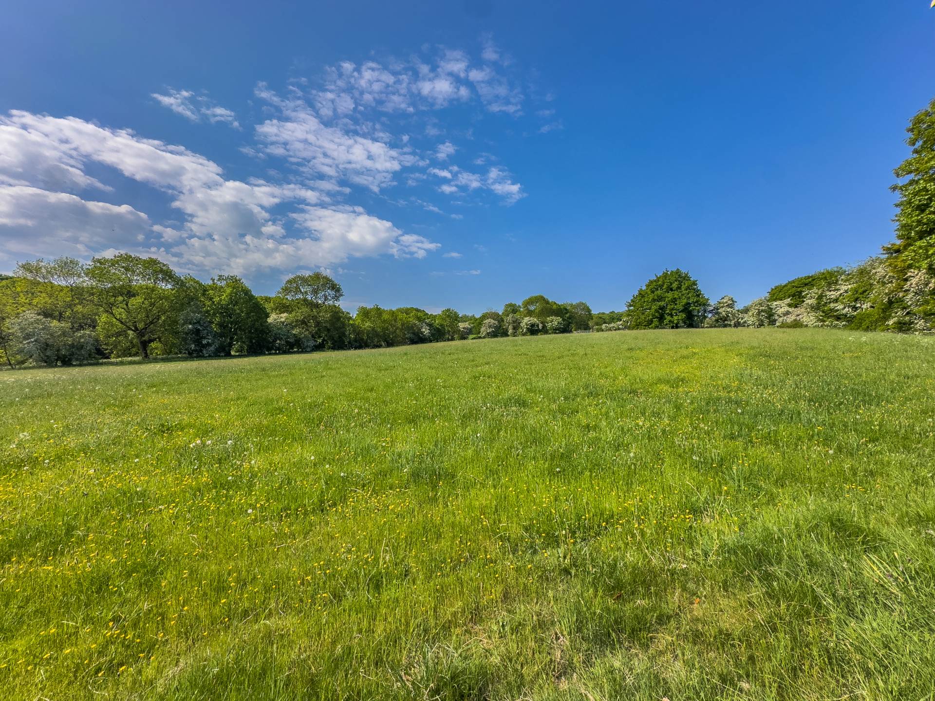 Monk Ings Avenue, Batley, Image 19
