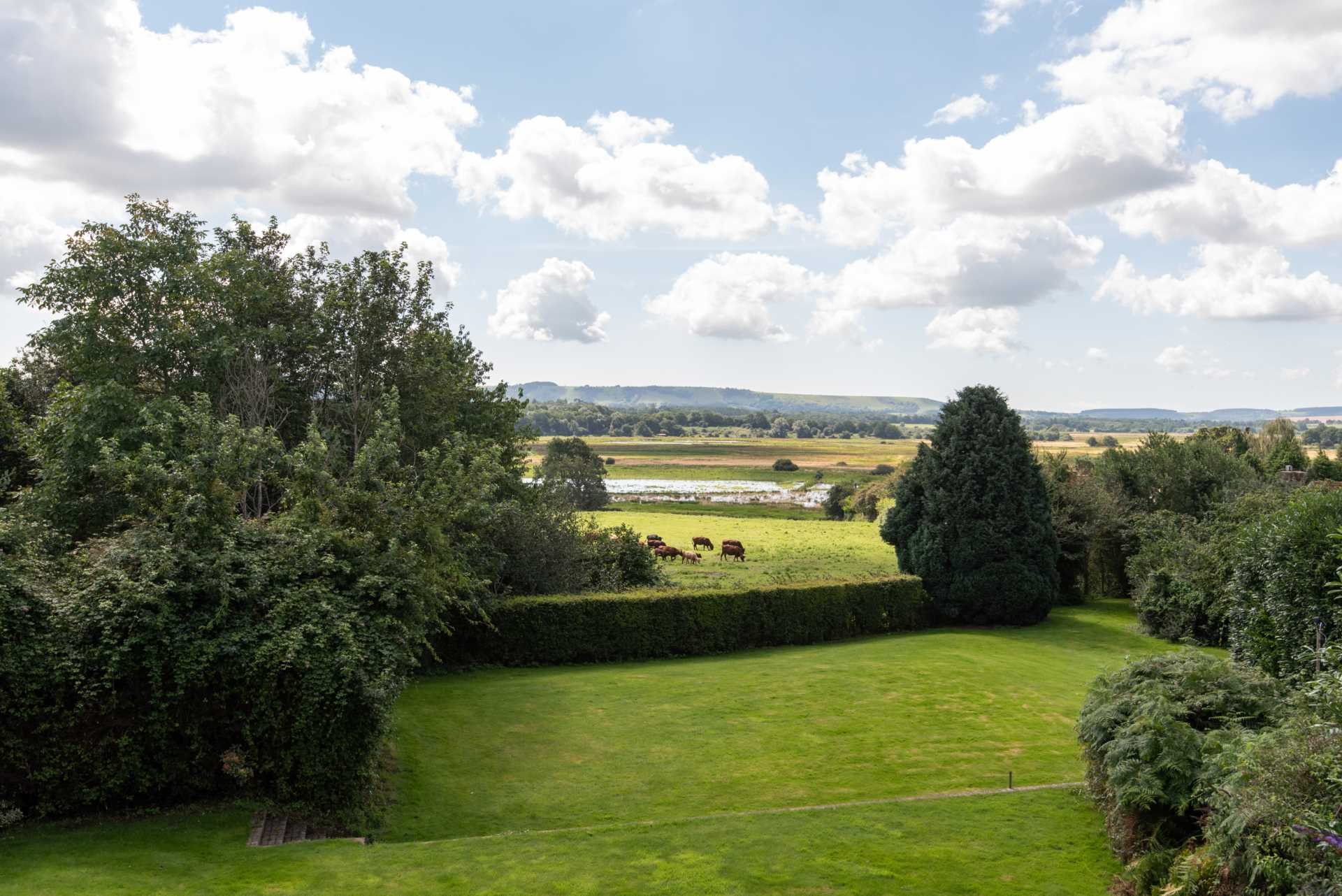 Lower Street, Pulborough, Image 18