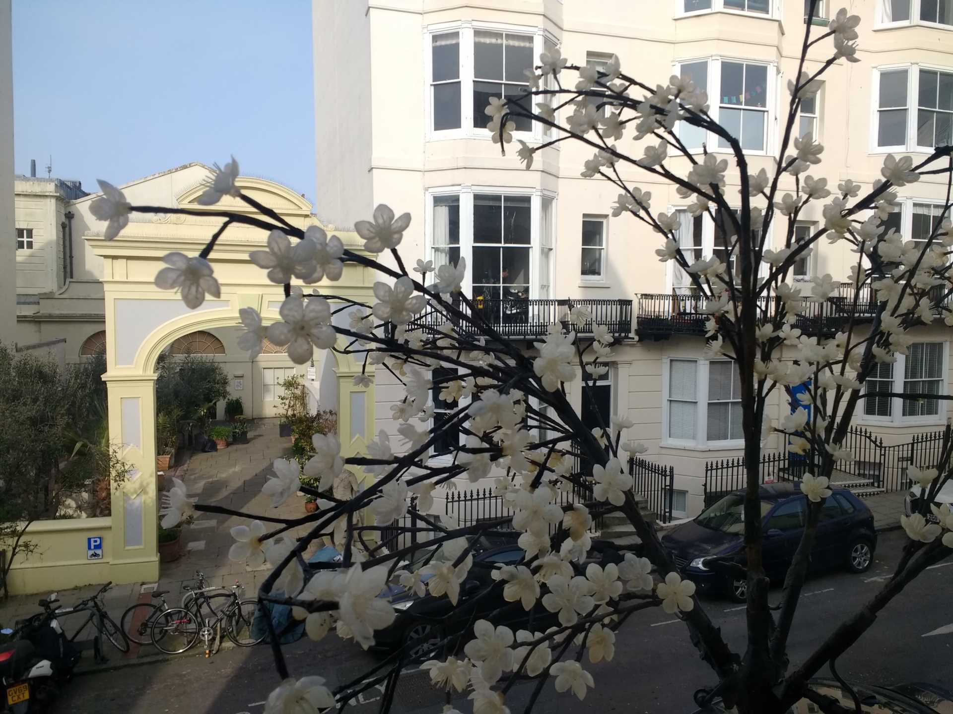 Waterloo Street, Hove, Image 22