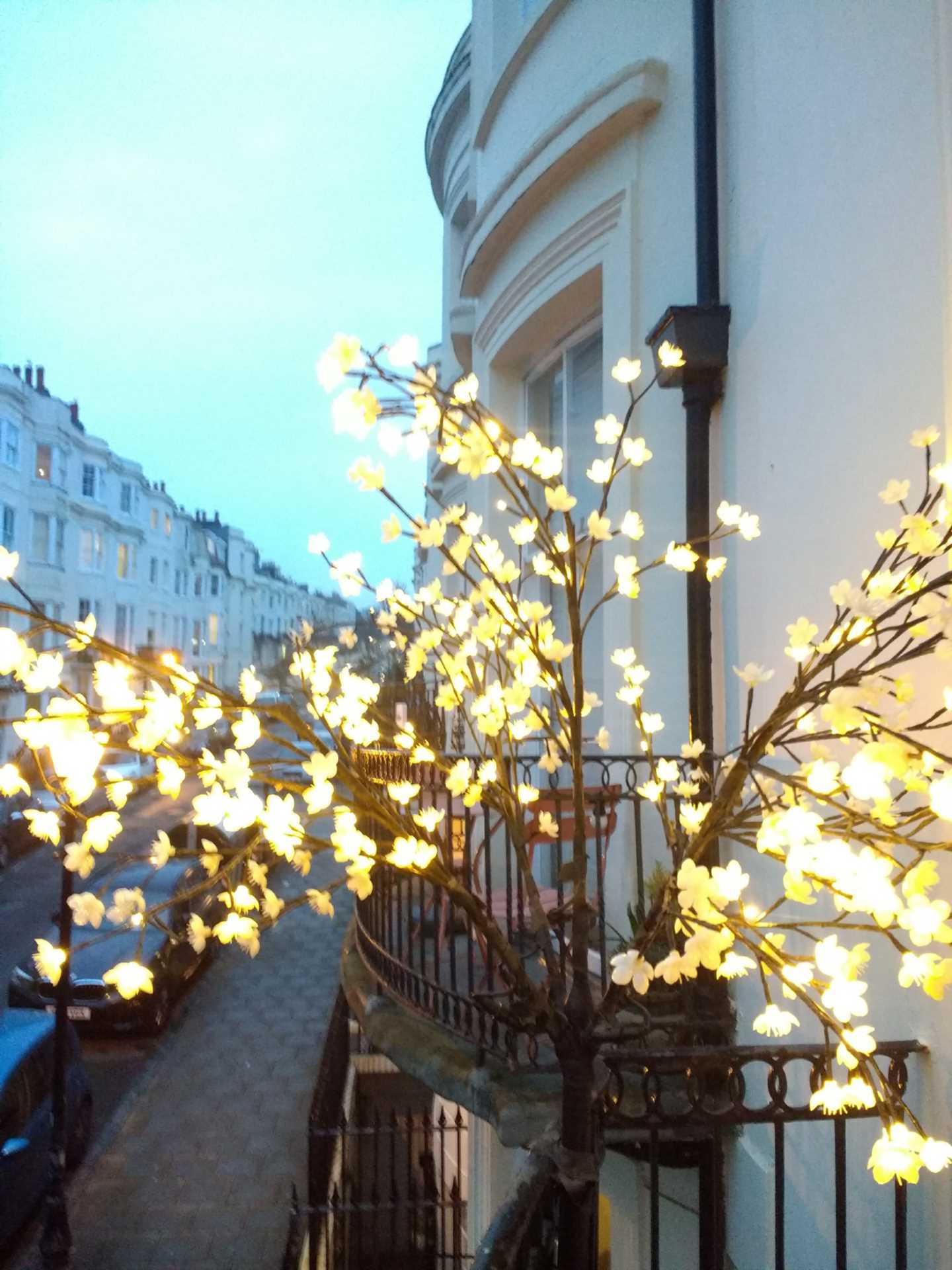 Waterloo Street, Hove, Image 31