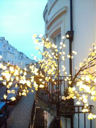 Waterloo Street, Hove, Image 31