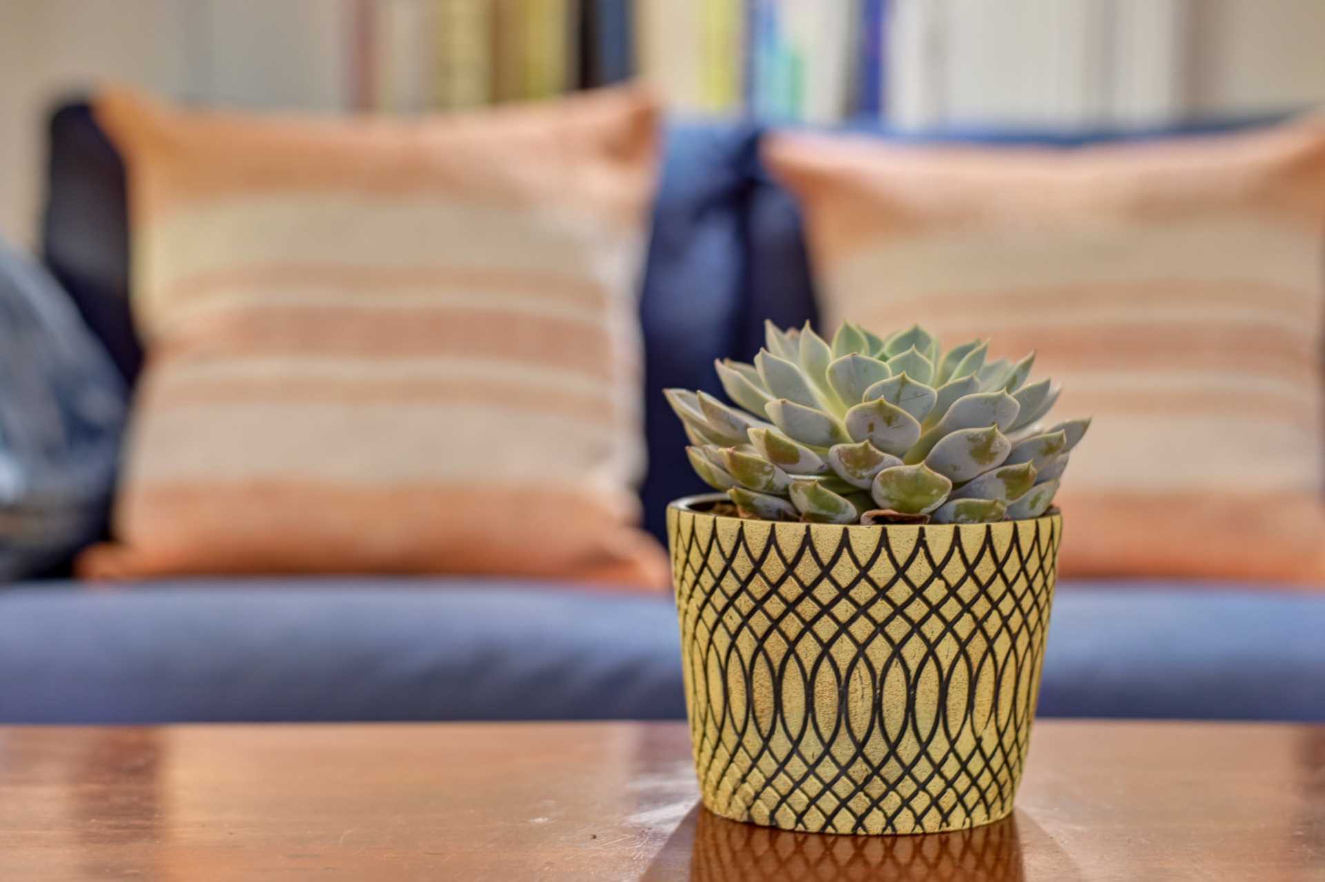 ‘Brighton's Park Crescent Apartment', Image 19