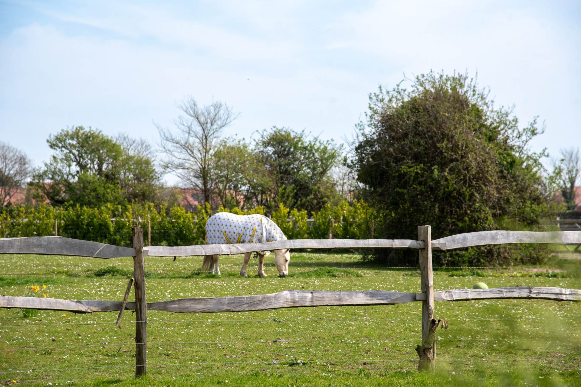 Southview Terrace, Lancing, Image 5