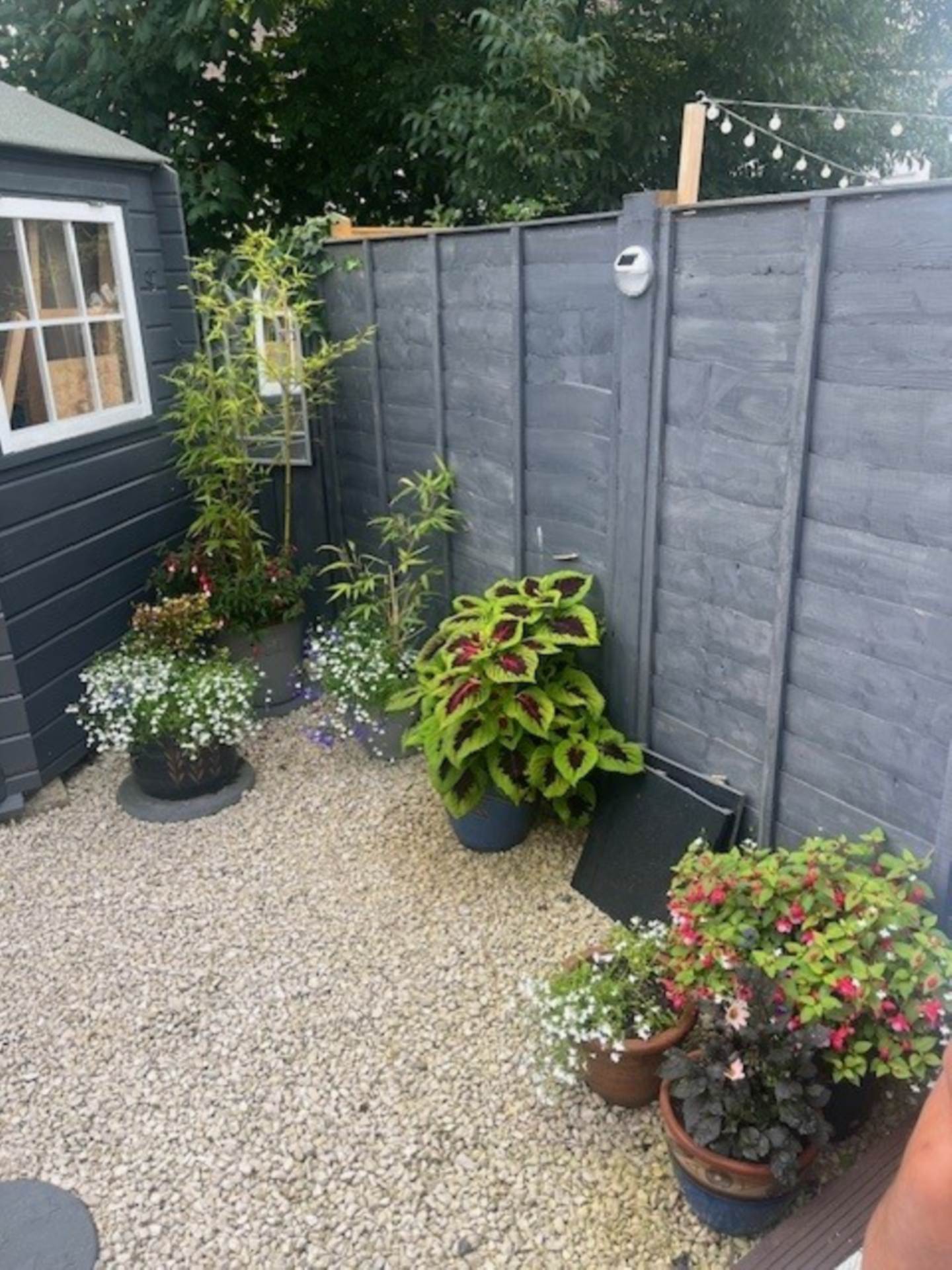 Shirley Drive, Worthing, Image 10