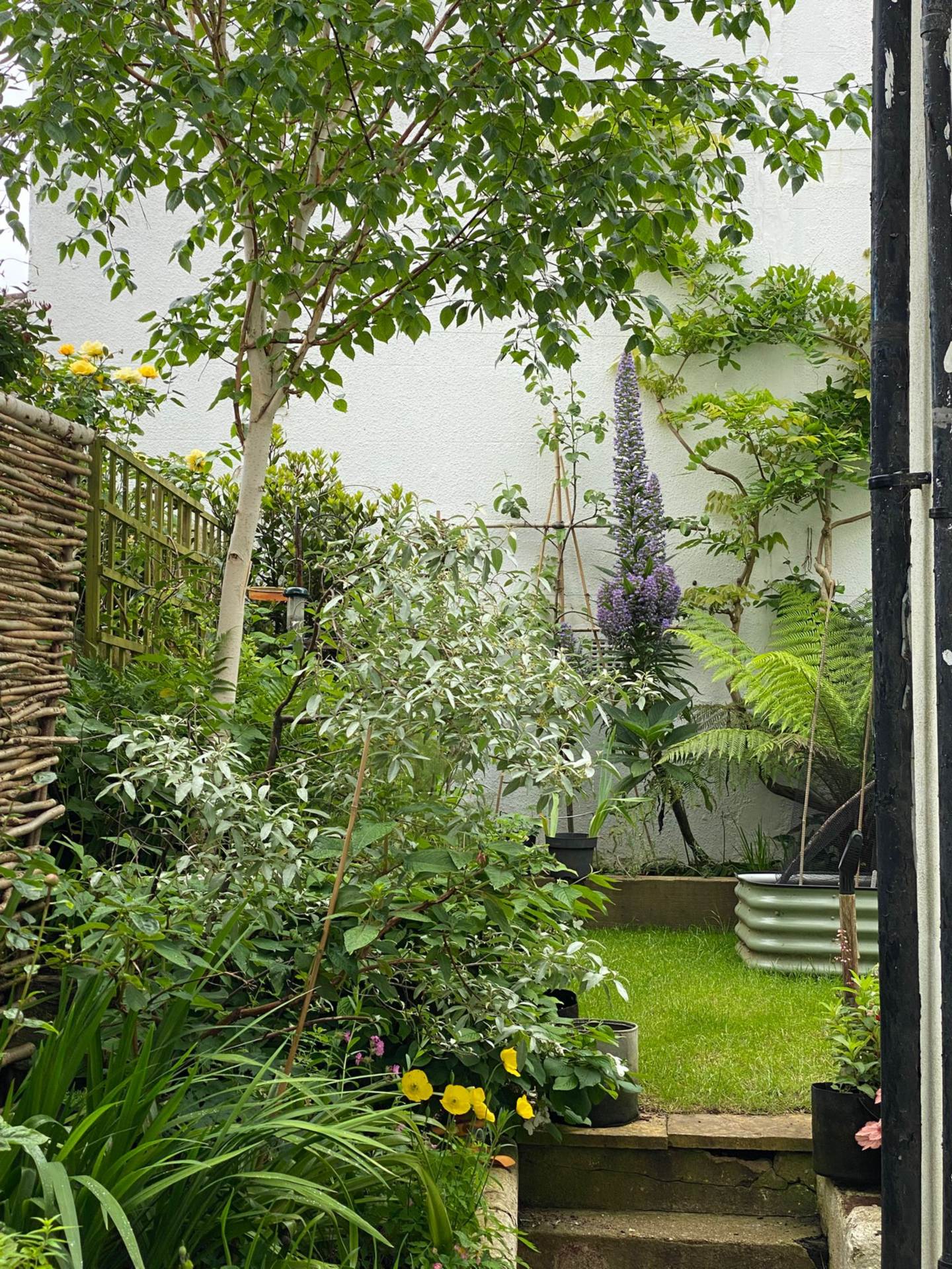 Goldstone Villas, Hove, Image 15