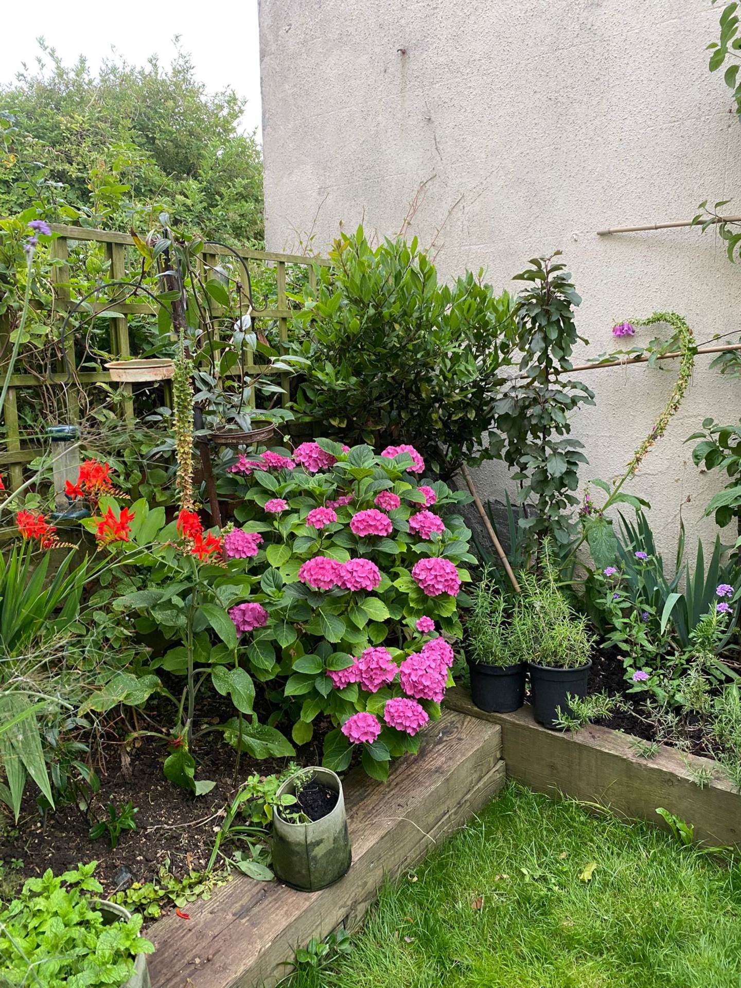 Goldstone Villas, Hove, Image 16