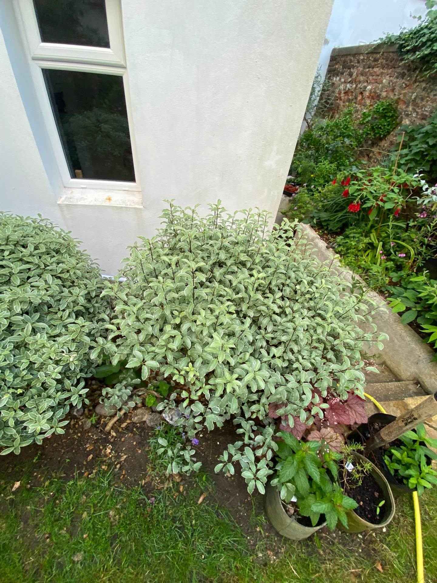 Goldstone Villas, Hove, Image 18