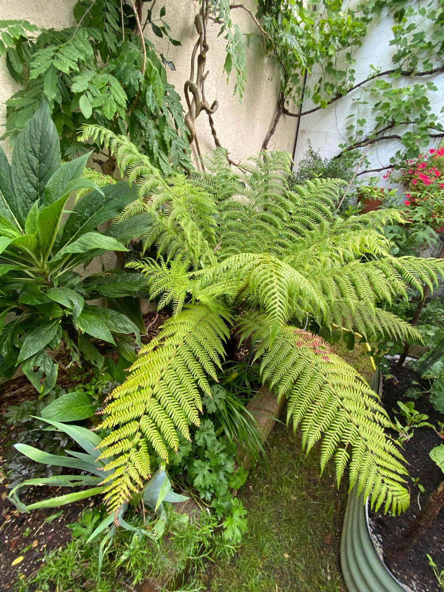 Goldstone Villas, Hove, Image 20