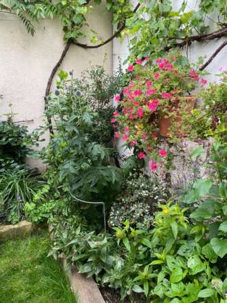 Goldstone Villas, Hove, Image 17