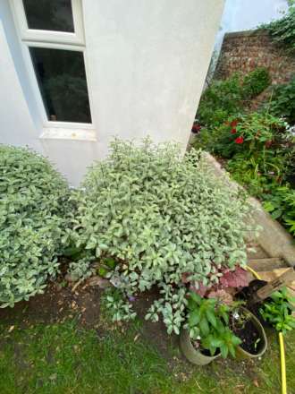 Goldstone Villas, Hove, Image 18