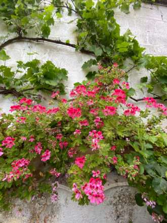 Goldstone Villas, Hove, Image 19