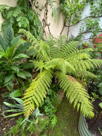 Goldstone Villas, Hove, Image 20