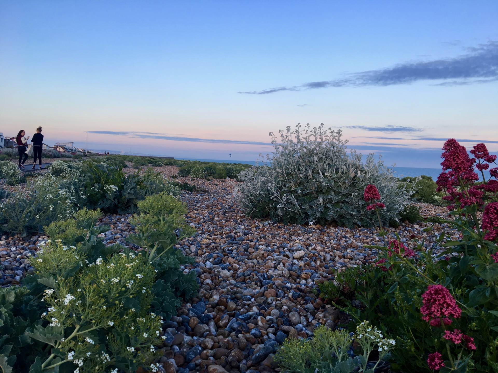 Brighton Road, Lancing, Image 47