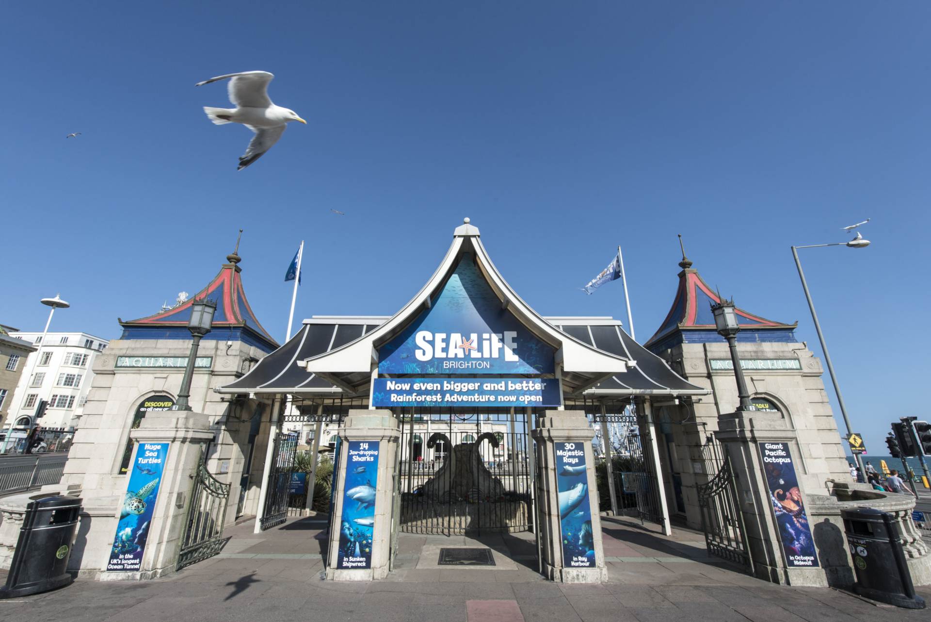 Preston Drove, Brighton, Image 22