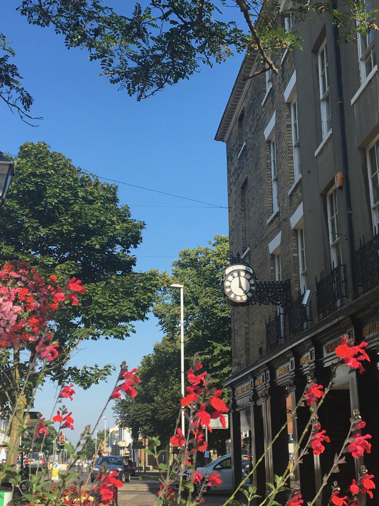Byron Road, Worthing, Image 15