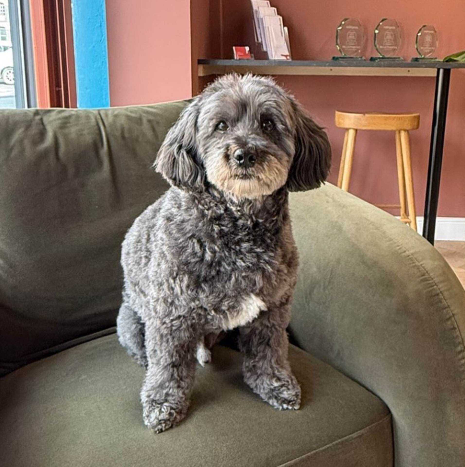📸 New Headshot for Bailey 😍