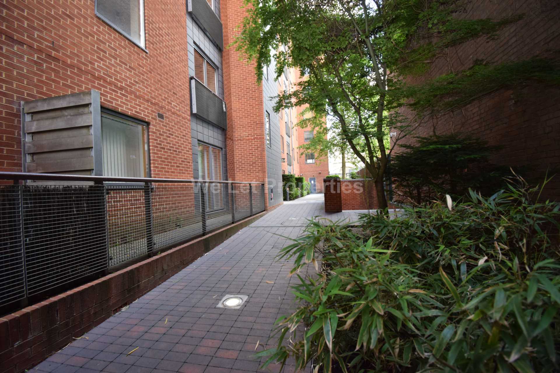 The Foundry, Lower Chatham Street, Image 8