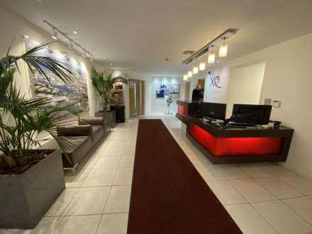 XQ7, Taylorson Street South, Image 10