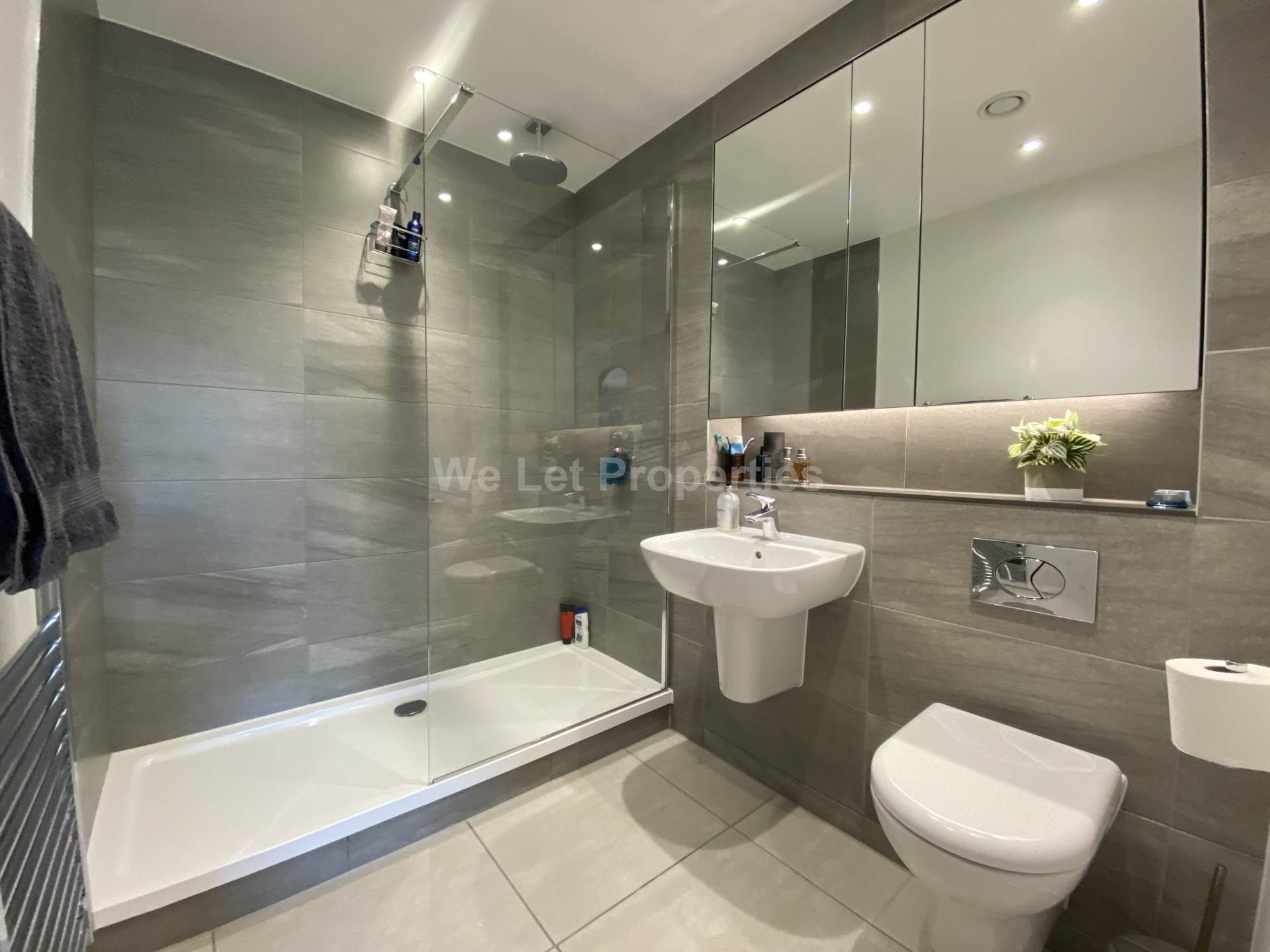 Middlewood Locks, Middlewood Street, Image 7