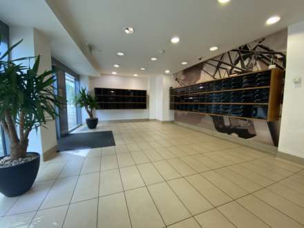 Number One Pink, Media City, Image 13