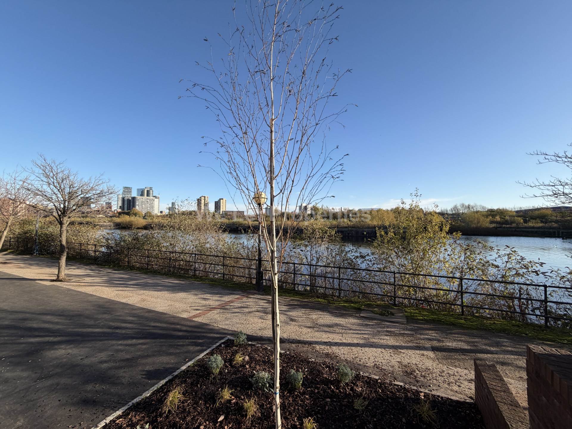 Berkeley Square, Ordsall Lane, Image 44