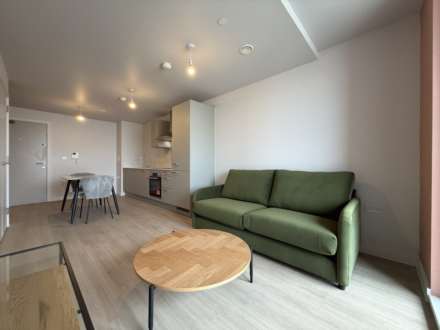 Property For Rent Botanical Avenue, Manchester