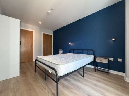 St Georges Island, Castlefield, Image 8