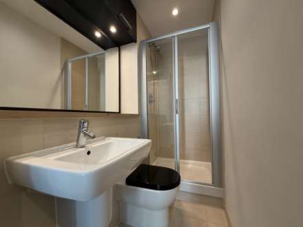 St Georges Island, Castlefield, Image 9