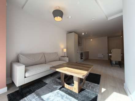 Property For Rent Botanical Avenue, Manchester