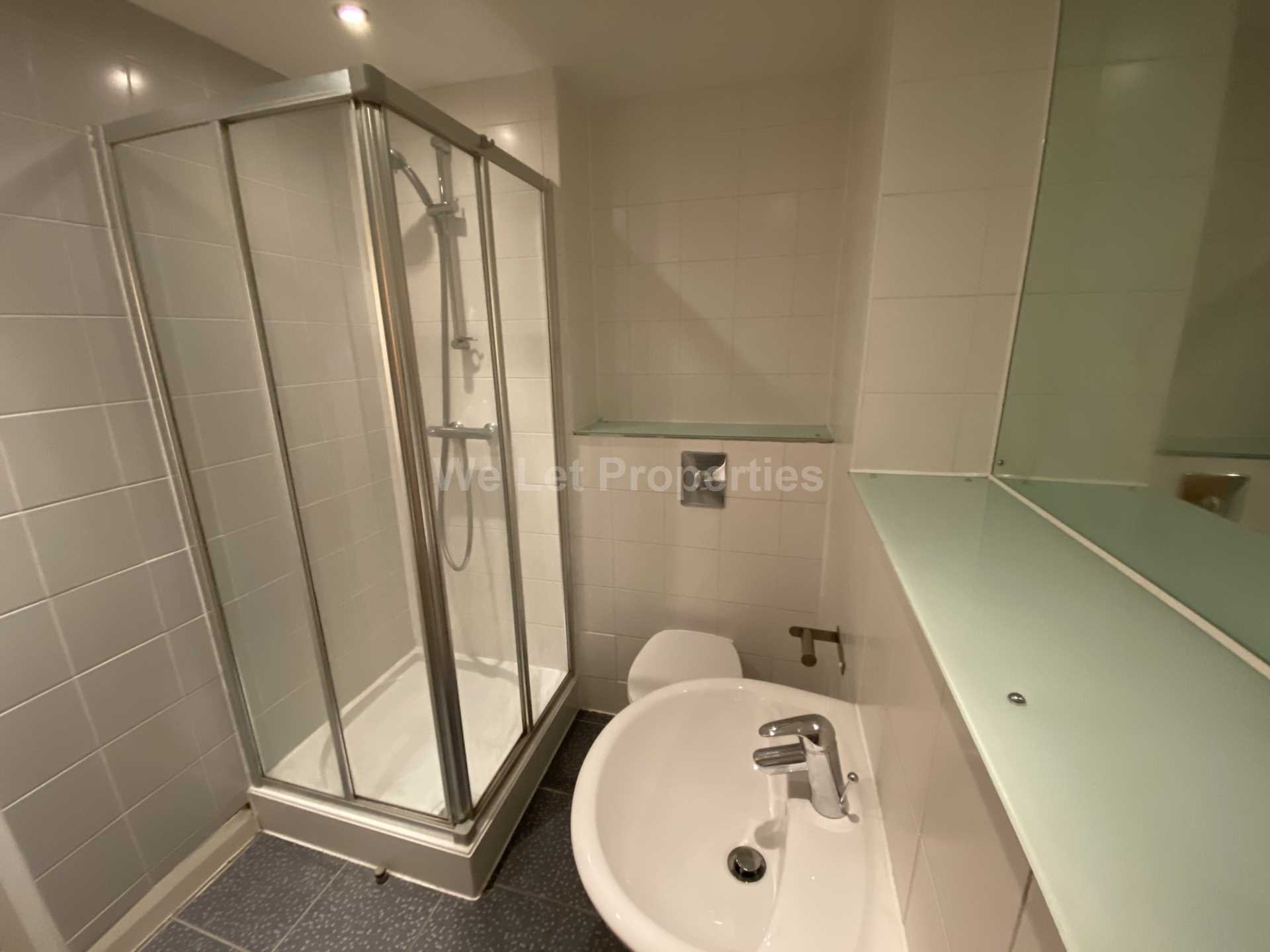 Lake House, Castlefield Locks, Image 6