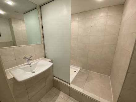 Vicus, Castlefield, Image 5