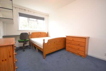 Spring Terrace, Reading, Image 7