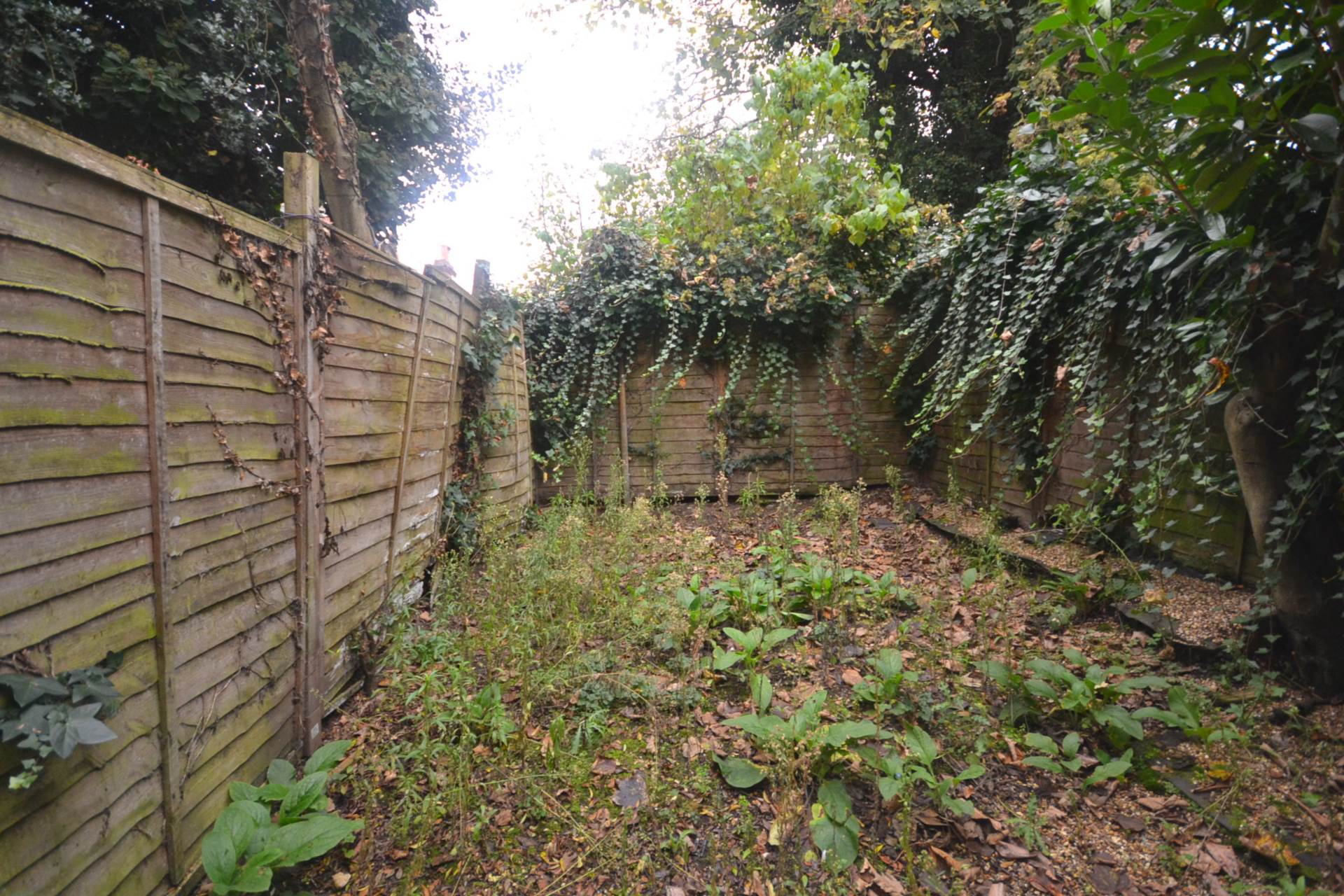 Kings Road, Reading, Image 7