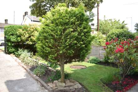 Longsight, Harwood, Image 33