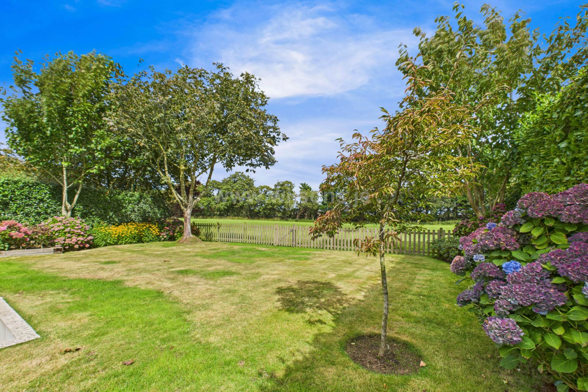 St Saviour / Trinity Border, Image 28