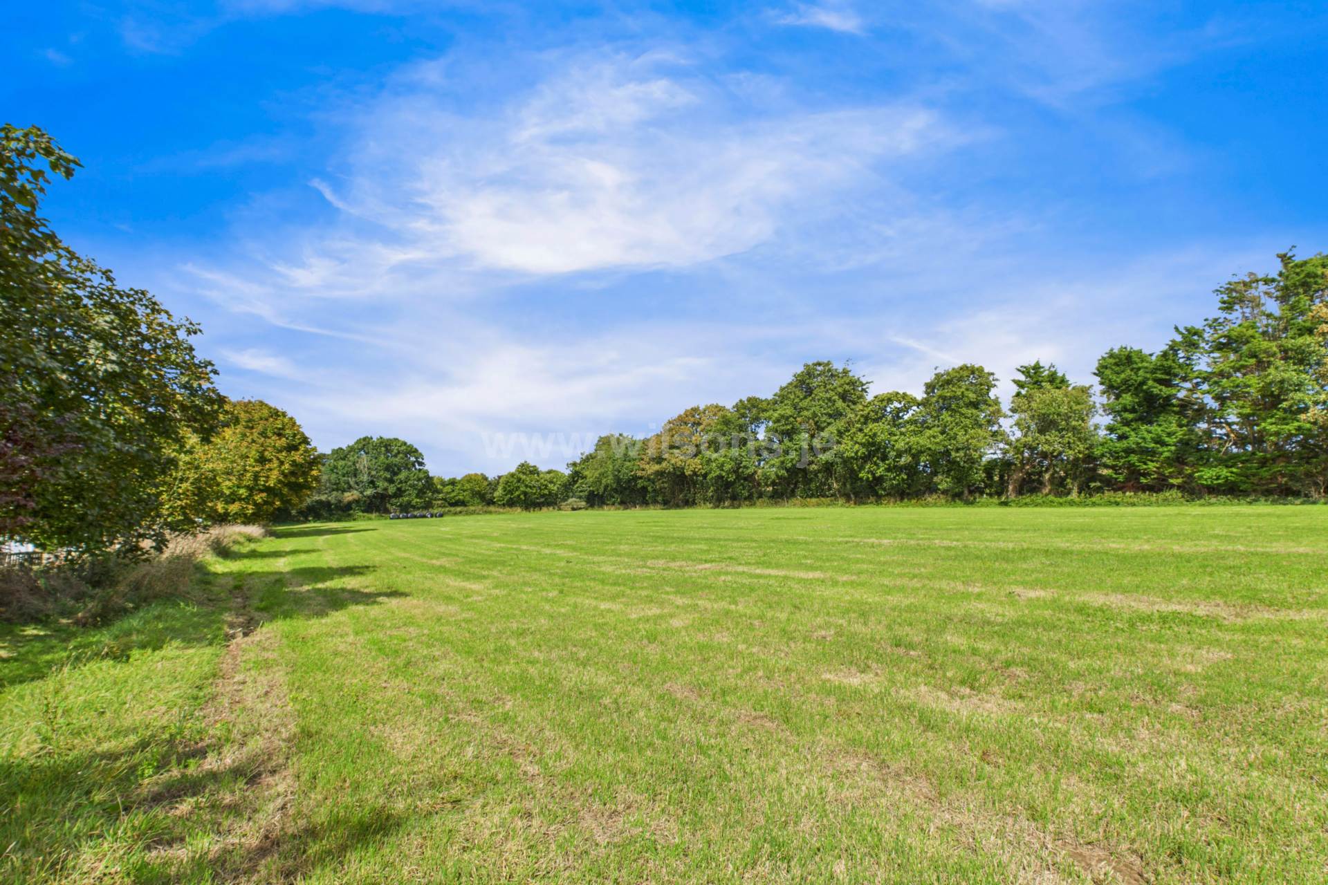 St Saviour / Trinity Border, Image 32