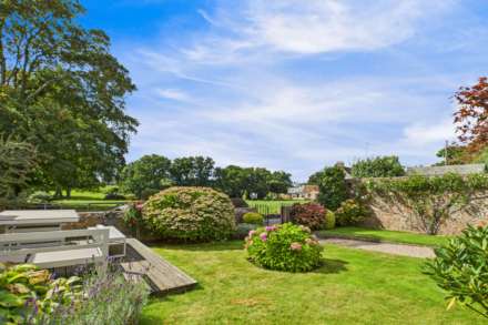 St Saviour / Trinity Border, Image 24